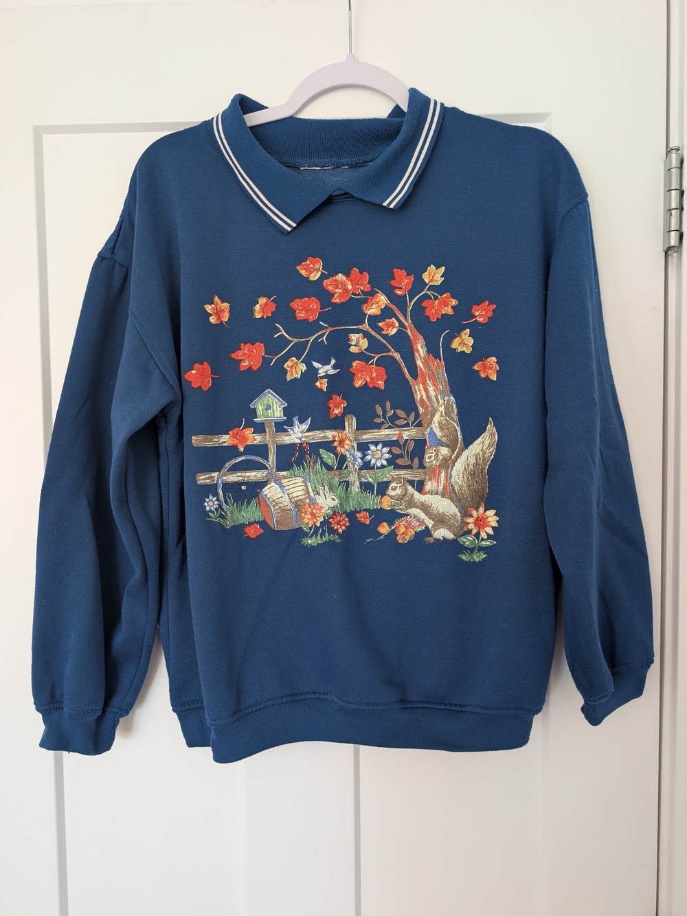 Blue Collared Sweater with Autumn Squirrel Print